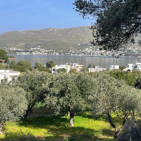 The Velanidies - Οι Βελανιδιές Agia Marina  Extérieur photo