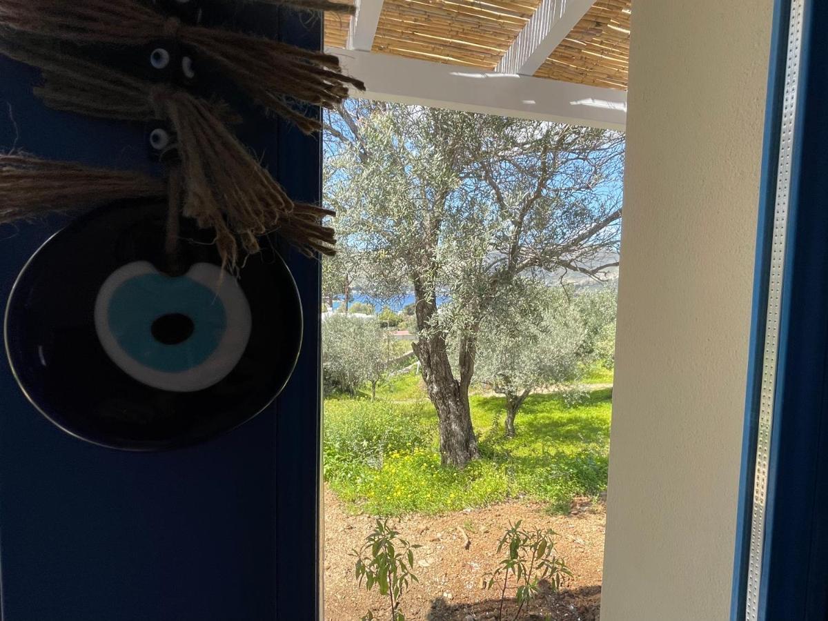 The Velanidies - Οι Βελανιδιές Agia Marina  Extérieur photo