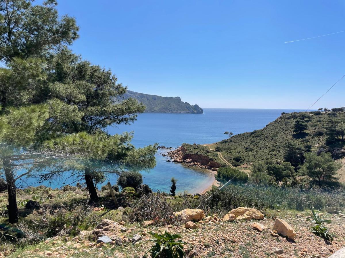 The Velanidies - Οι Βελανιδιές Agia Marina  Extérieur photo