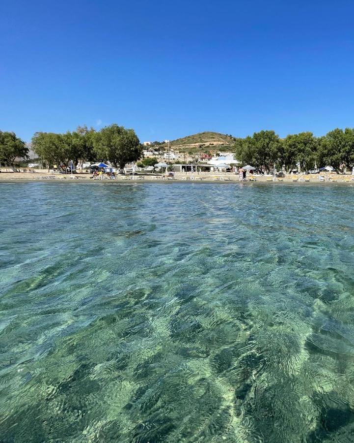 The Velanidies - Οι Βελανιδιές Agia Marina  Extérieur photo