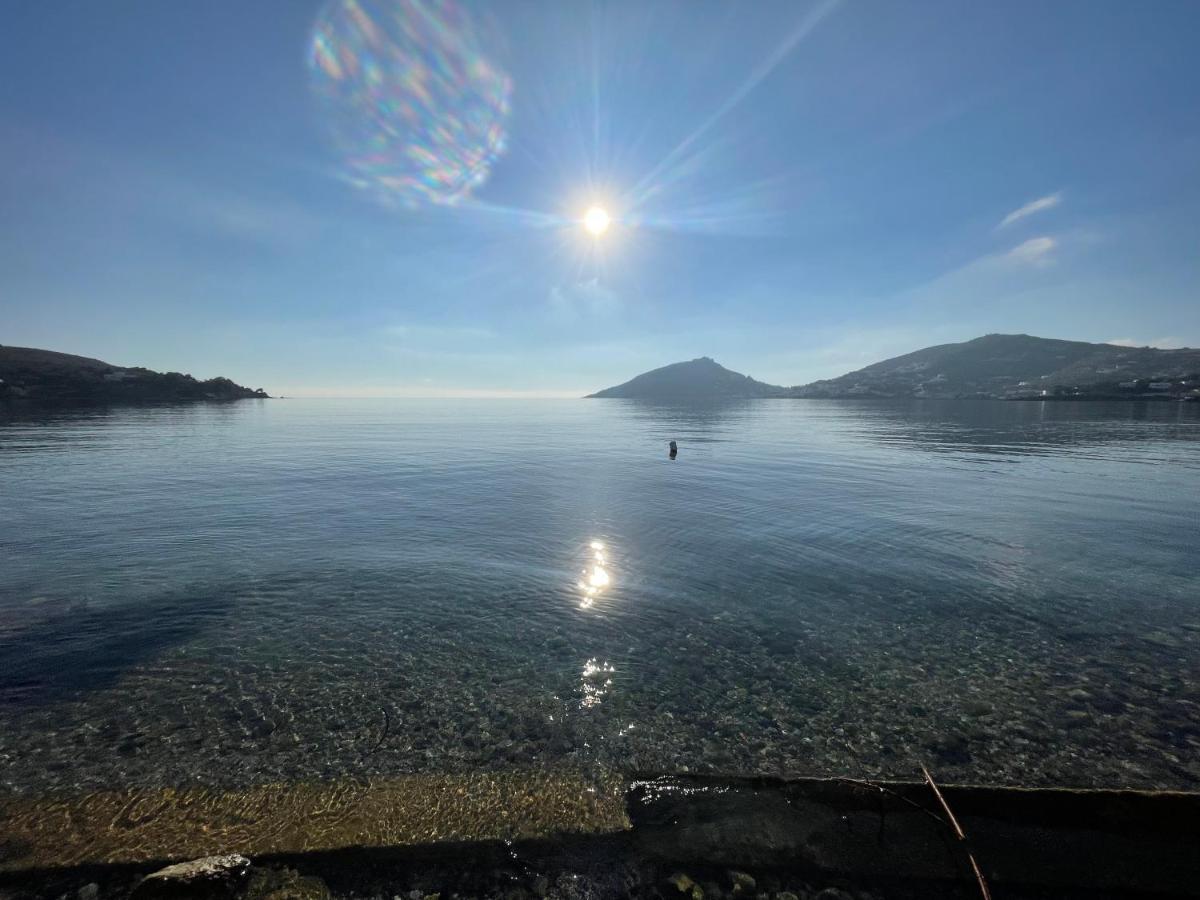 The Velanidies - Οι Βελανιδιές Agia Marina  Extérieur photo