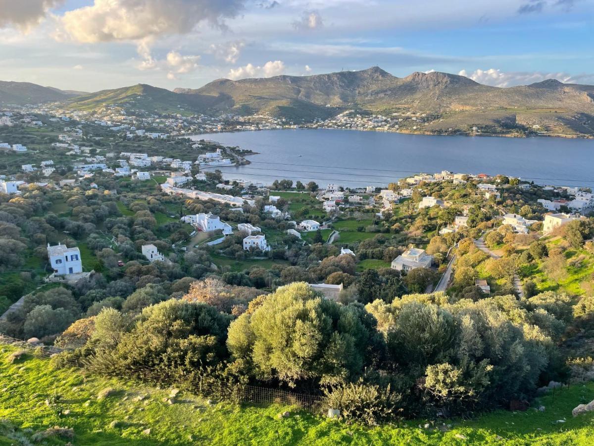 The Velanidies - Οι Βελανιδιές Agia Marina  Extérieur photo