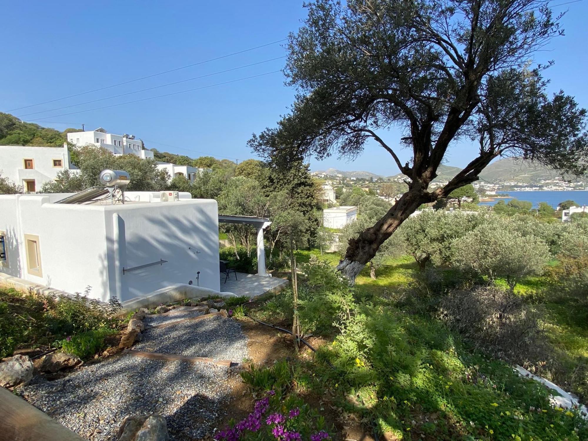 The Velanidies - Οι Βελανιδιές Agia Marina  Extérieur photo