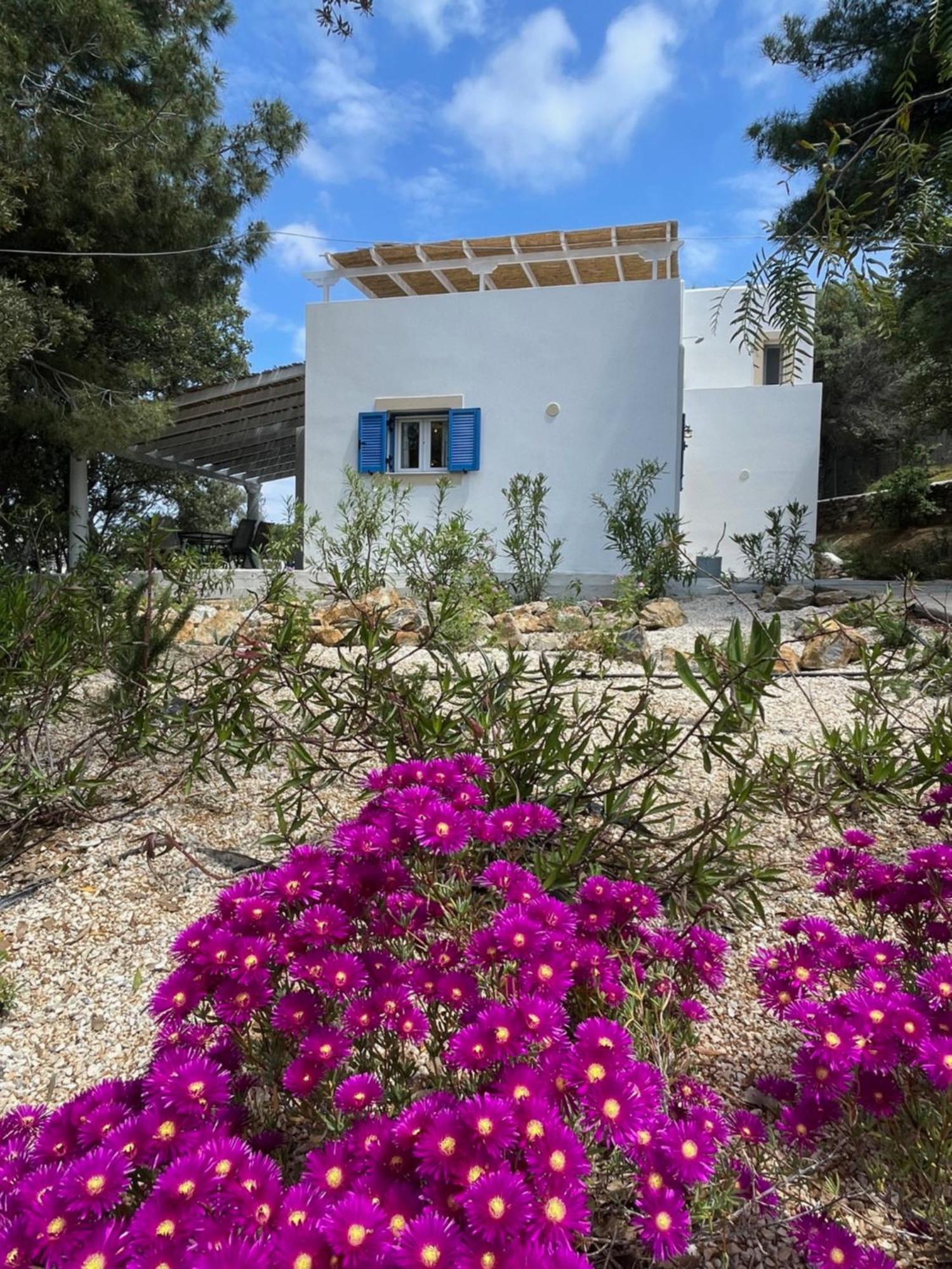 The Velanidies - Οι Βελανιδιές Agia Marina  Extérieur photo